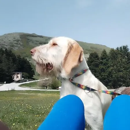 Maison d'hôtes Affitta Teresa *